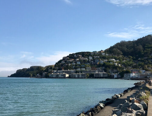 Things to Do in Sausalito: A One-Day Itinerary